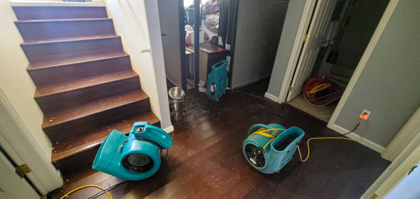 Best Residential water damage restoration  in North Fork, AZ