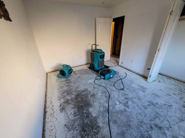 Best Basement water damage restoration  in North Fork, AZ