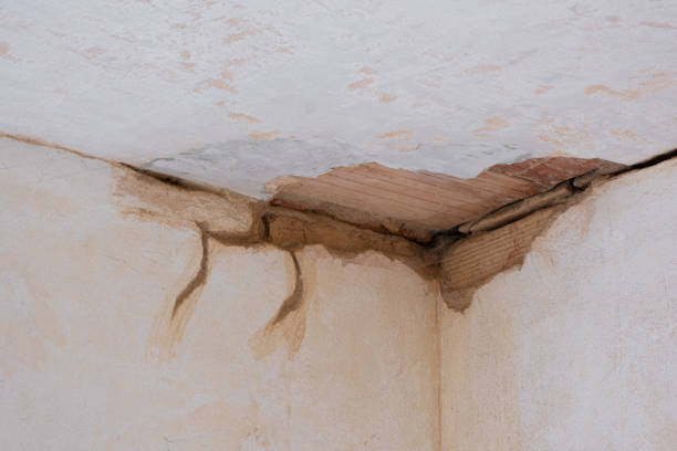 Best Water damage restoration cost  in North Fork, AZ