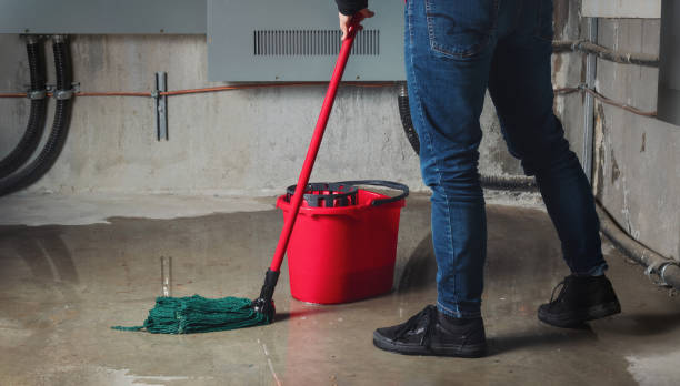 Best Fire Damage Restoration  in North Fork, AZ