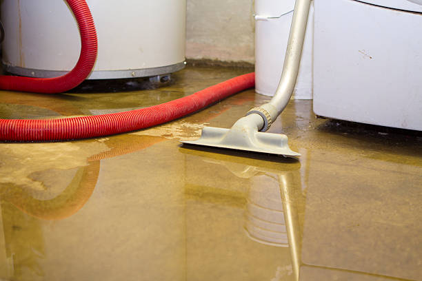 Trusted AZ Water damage restoration Experts