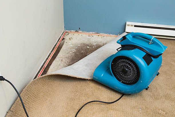 Best Flooded house restoration  in North Fork, AZ