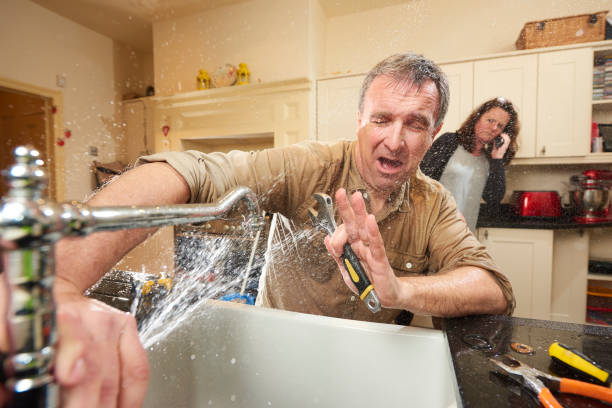 Best 24/7 water damage repair  in North Fork, AZ